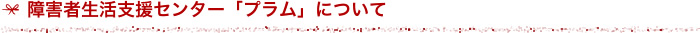 障害者生活支援センター「プラム」について